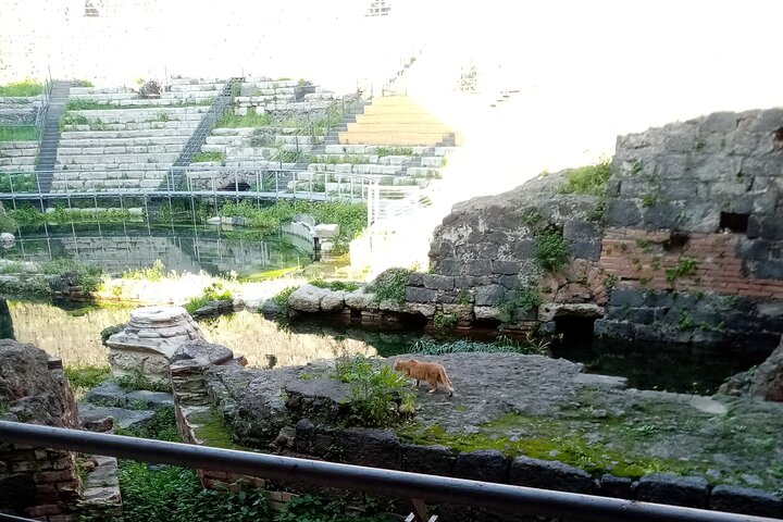 Private tour of Catania and the Riviera of the Cyclops - Image 2
