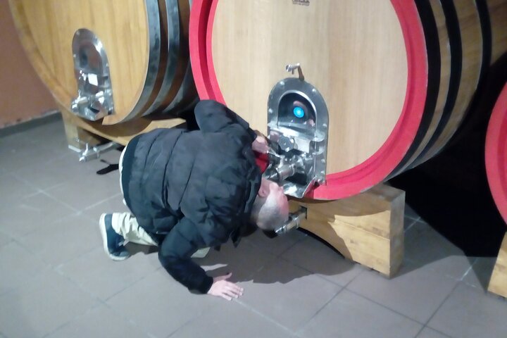 Private Tour of Mount Etna with Etna Doc Wine Tasting - Image 5