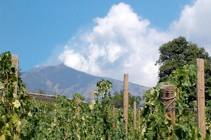 Private visit to the cellars of Etna with wine tasting - Image 1