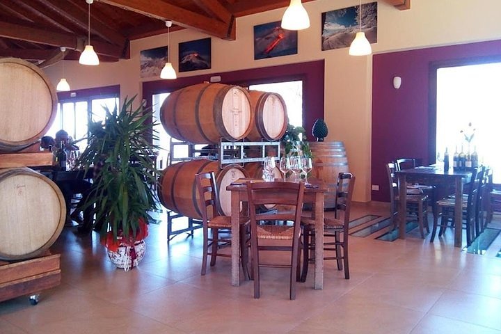 Private visit to the cellars of Etna with wine tasting - Image 5