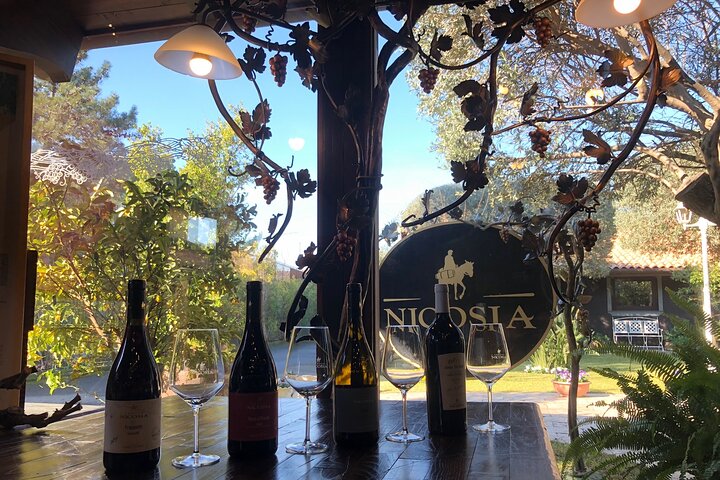 Sunset Etna & Wine – Private Experience - Image 4