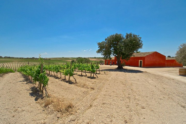 Wine and Food Baroque Day Tour – Private Experience - Image 2