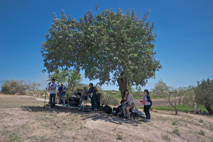Wine and Food Baroque Day Tour – Private Experience - Image 5