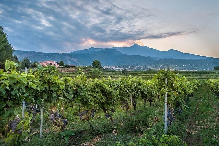 Wine Tasting tour from Catania - Image 1