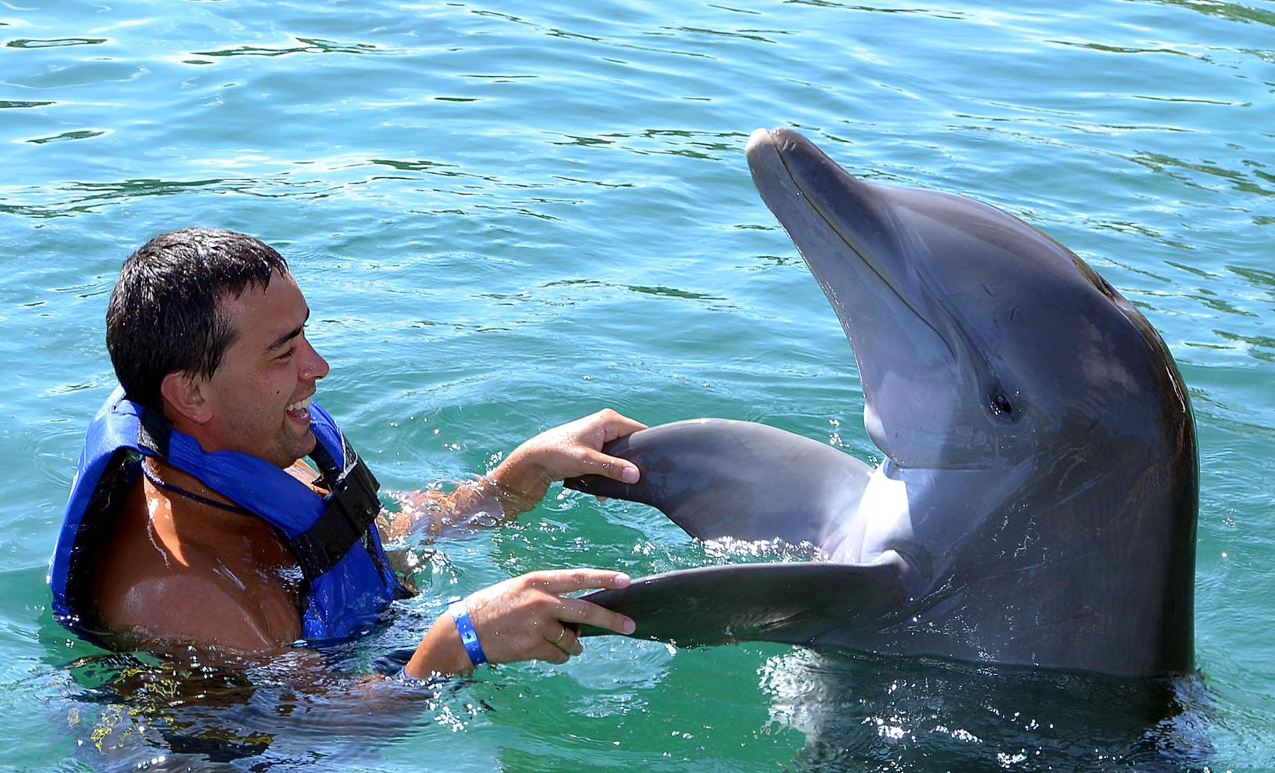 Dolphin Experience and Coral World - Image 1