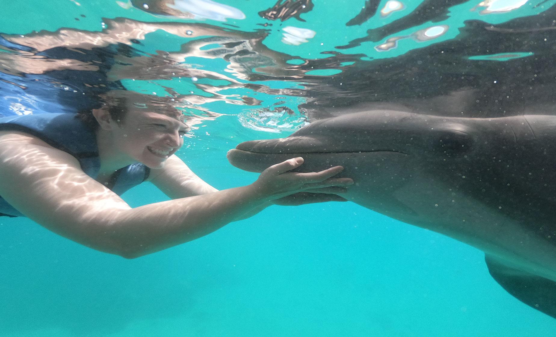 Dolphin Swim and Coral World - Image 1