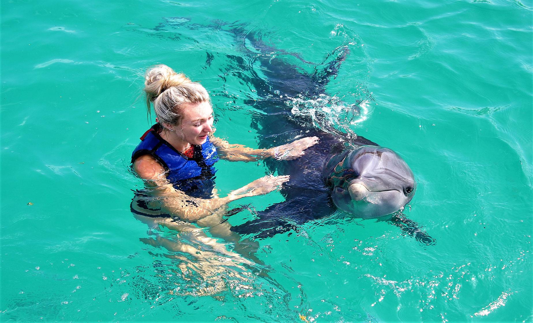 Dolphin Swim, Coral World, and Coki Beach - Image 1
