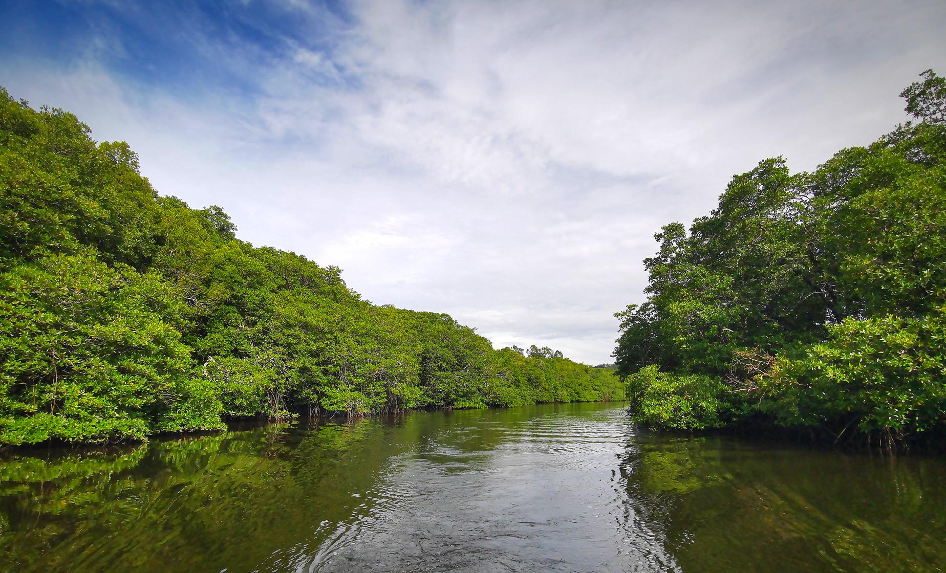 Kayak & Snorkel Adventure - Image 1