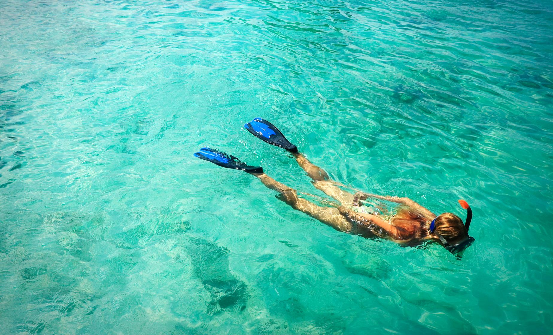Snorkel St . John - Image 1