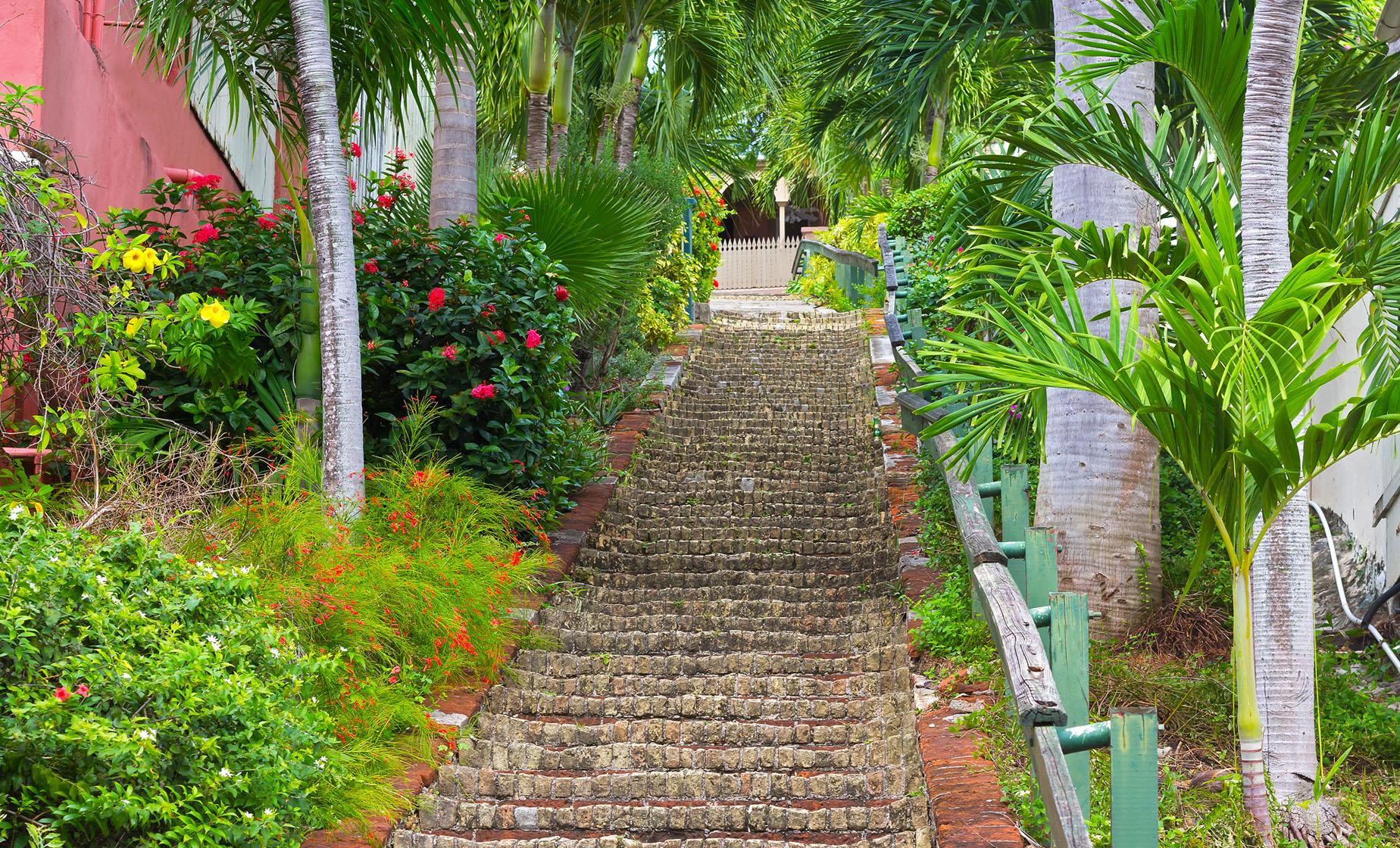 St. Thomas Shopping and Sightseeing - Image 1