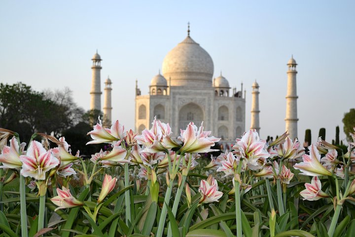 Taj Mahal Sunrise and Agra Overnight Tour from Chennai  - Image 1