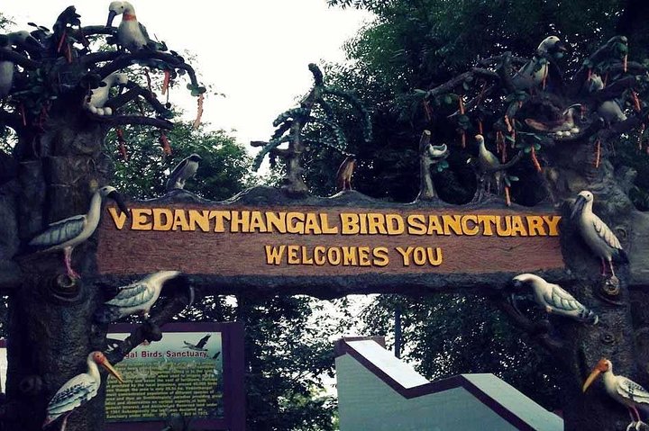 Visit to Vedanthangal Bird Sanctuary from Chennai - Image 1