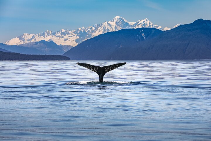 14 Day South Island Grand Adventure Tour (Small Group & Carbon Neutral) - Image 4
