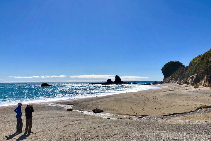 2-Day Christchurch to Queenstown Tour via West Coast - Image 5