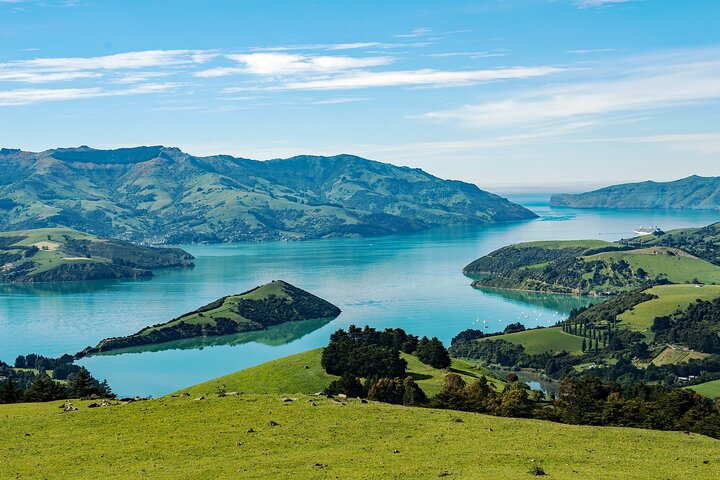 Akaroa Private Day Tour From Christchurch (Carbon Neutral) - Image 1