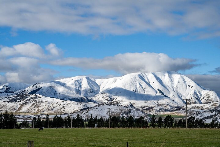 Full Day Arthurs Pass Tour with Tranzalpine Train in New Zealand - Image 4