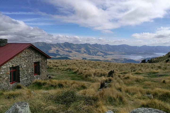 Guided Walk & Scenic Drive from Christchurch- Port Hills & Packhorse Hut - Image 1