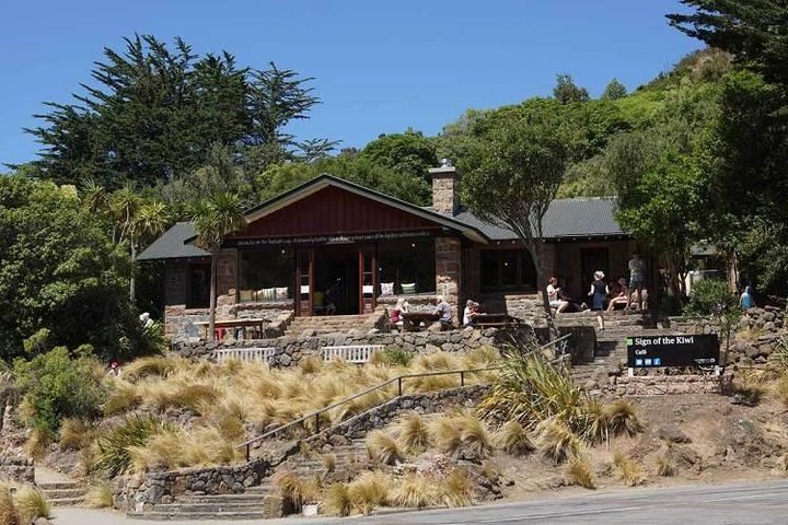 Guided Walk & Scenic Drive from Christchurch- Port Hills & Packhorse Hut - Image 5