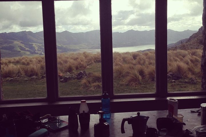 Guided Walk & Scenic Drive from Christchurch- Port Hills & Packhorse Hut - Image 4