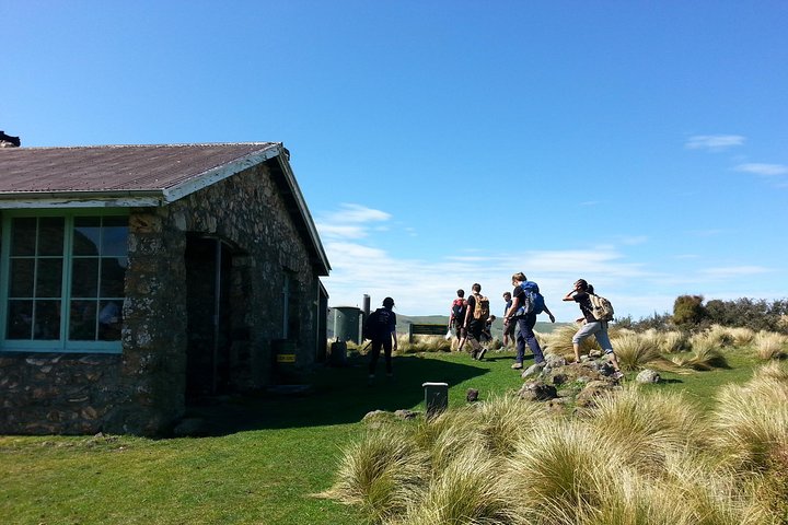 Guided Walk & Scenic Drive from Christchurch- Port Hills & Packhorse Hut - Image 2
