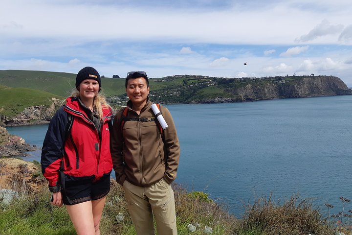 Guided Walking Tour & Scenic Drive form Christchurch - Lyttelton & Godley Head - Image 1