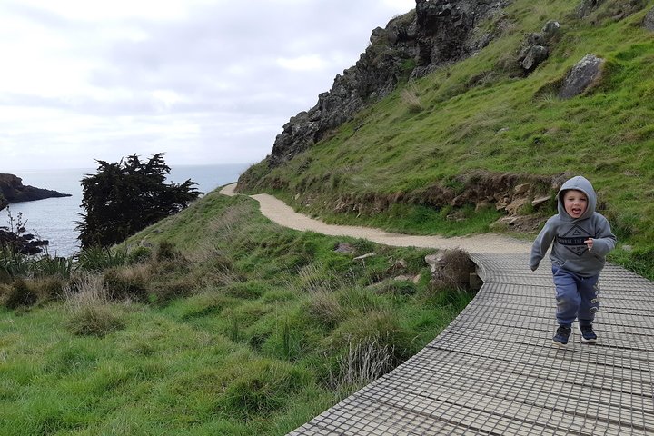 Guided Walking Tour & Scenic Drive form Christchurch - Lyttelton & Godley Head - Image 3