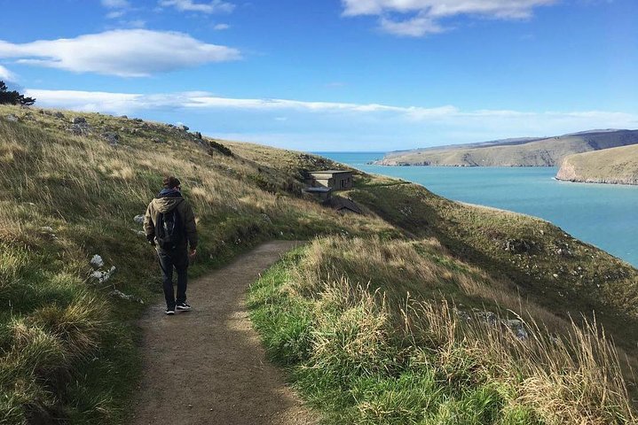Guided Walking Tour & Scenic Drive form Christchurch - Lyttelton & Godley Head - Image 5