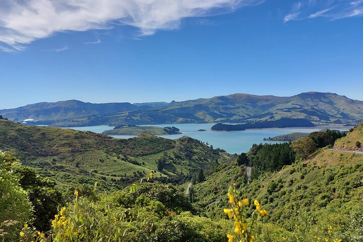 Lyttelton Shore Excursion: Christchurch Sights with Willowbank Wildlife Reserve - Image 3