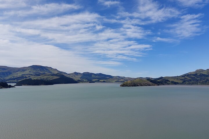 Lyttelton Shore Excursion: Christchurch Sightseeing with Antarctic Center - Image 5