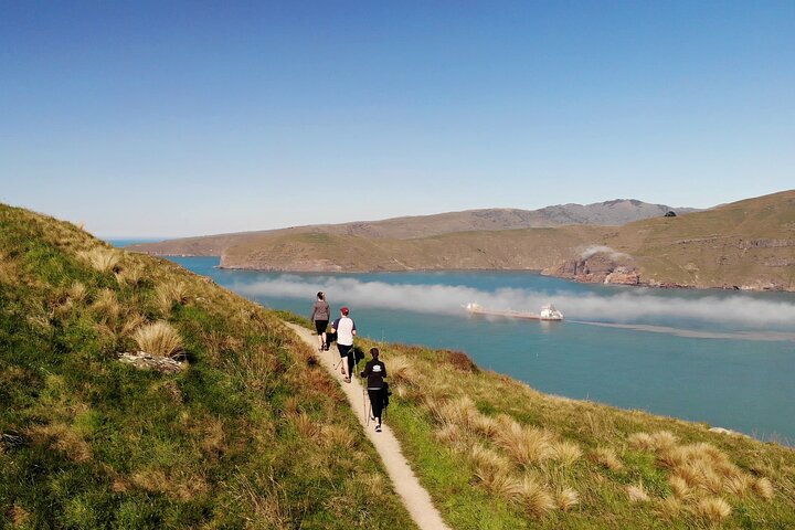 Lyttelton Shore Excursion - Guided Walking Tour and Picnic - Image 1