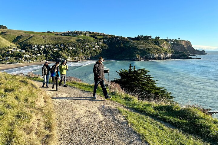 Lyttelton Shore Excursion - Guided Walking Tour and Picnic - Image 4