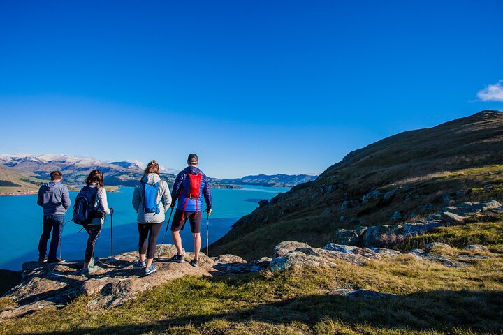 Lyttelton Shore Excursion - Guided Walking Tour and Picnic - Image 2