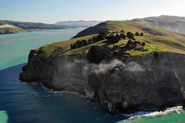 Lyttelton Shore Excursion - Guided Walking Tour and Picnic - Image 3