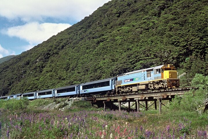 Lyttelton Shore Excursion: TranzAlpine and Arthurs Pass Tour - Image 4