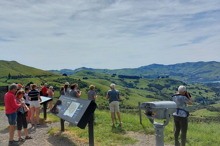 Lyttelton Shore Excursion: Twin Harbour Tour (Lyttelton & Akaroa) - Image 3