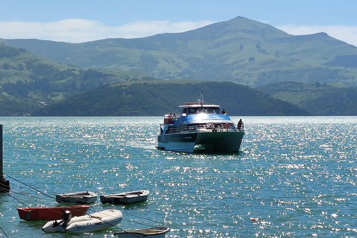 Lyttelton Shore Excursion: Twin Harbour Tour (Lyttelton & Akaroa) - Image 5