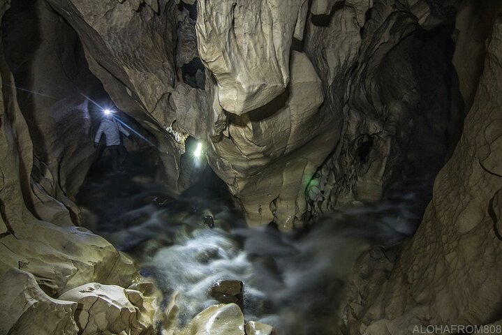Private Cave Stream & Castle Hill Tour from Christchurch - Image 1