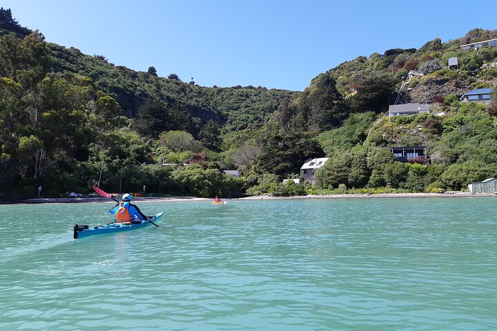 Private Sea Kayaking Tour from Christchurch/Lyttleton - Image 2