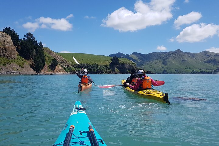 Private Sea Kayaking Tour from Christchurch/Lyttleton - Image 1