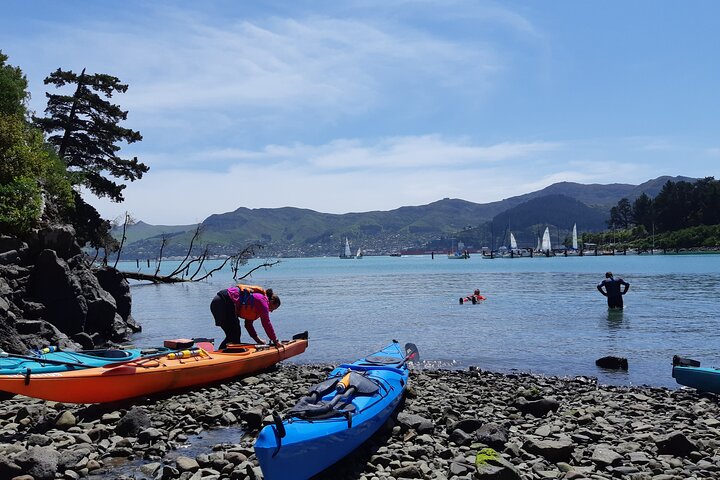 Private Sea Kayaking Tour from Christchurch/Lyttleton - Image 3