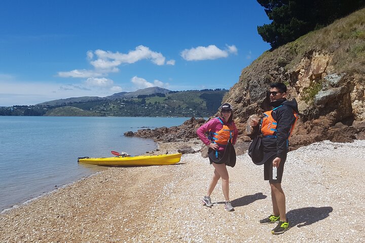 Private Sea Kayaking Tour from Christchurch/Lyttleton - Image 4