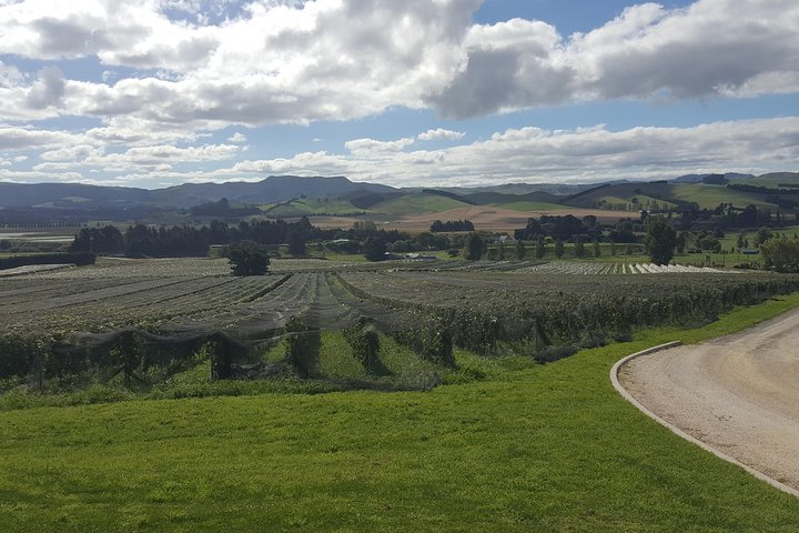 Private Waipara Valley Wine Tasting Tour with optional Gourmet Lunch - Image 5