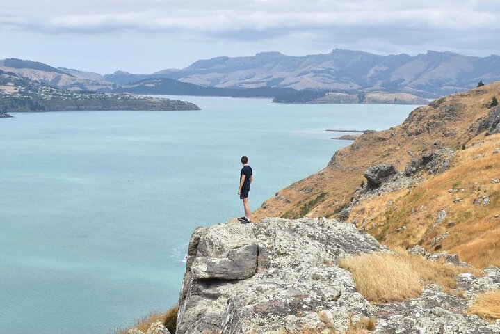 Private Walking Tour From Christchurch - Lyttelton & Godley Head - Image 1