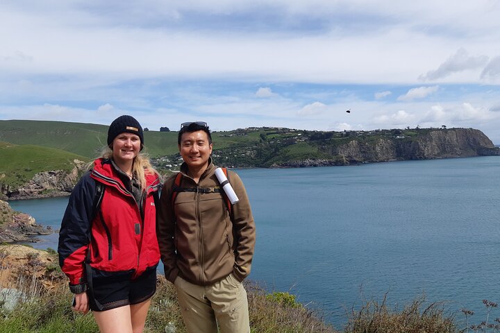 Private Walking Tour From Christchurch - Lyttelton & Godley Head - Image 2