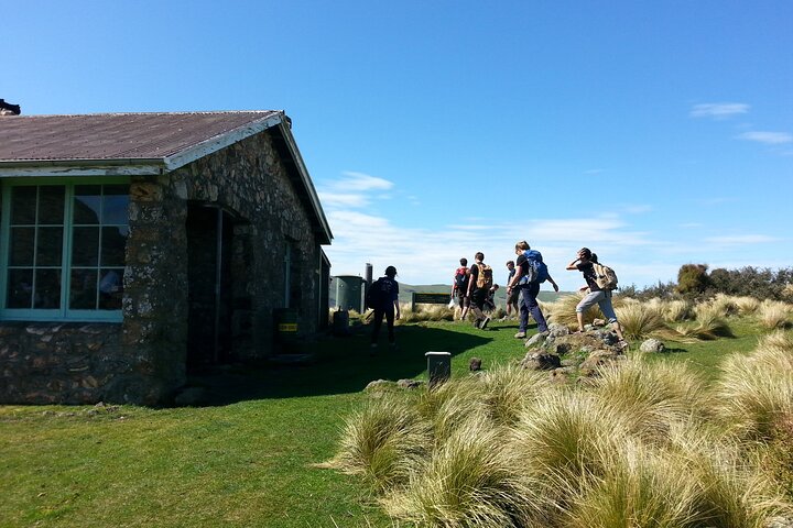 Private walking Tour - Packhorse Hut from Christchurch - Image 3