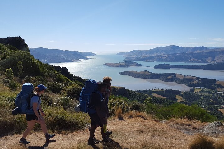 Private walking Tour - Packhorse Hut from Christchurch - Image 2