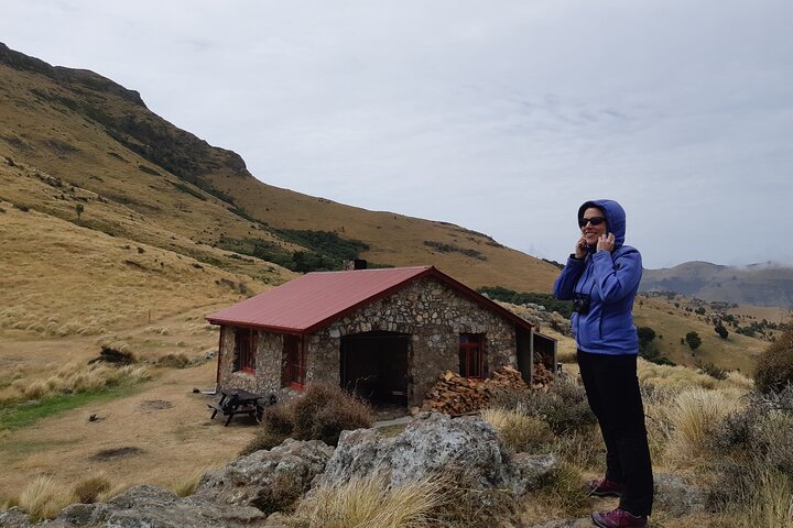 Private walking Tour - Packhorse Hut from Christchurch - Image 4