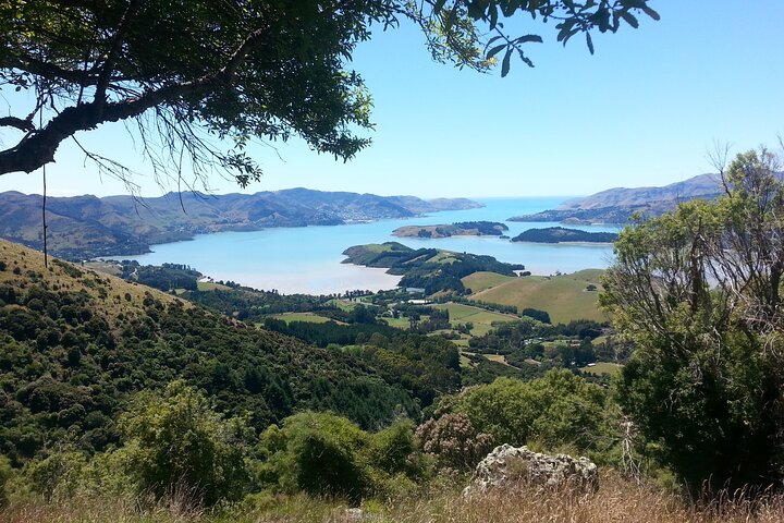 Private walking Tour - Packhorse Hut from Christchurch - Image 5