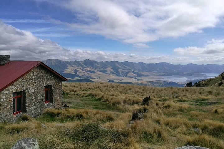 Private walking Tour - Packhorse Hut from Christchurch - Image 1