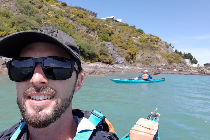 Sea Kayaking Christchurch, Lyttelton Harbour & Quail Island - Image 3
